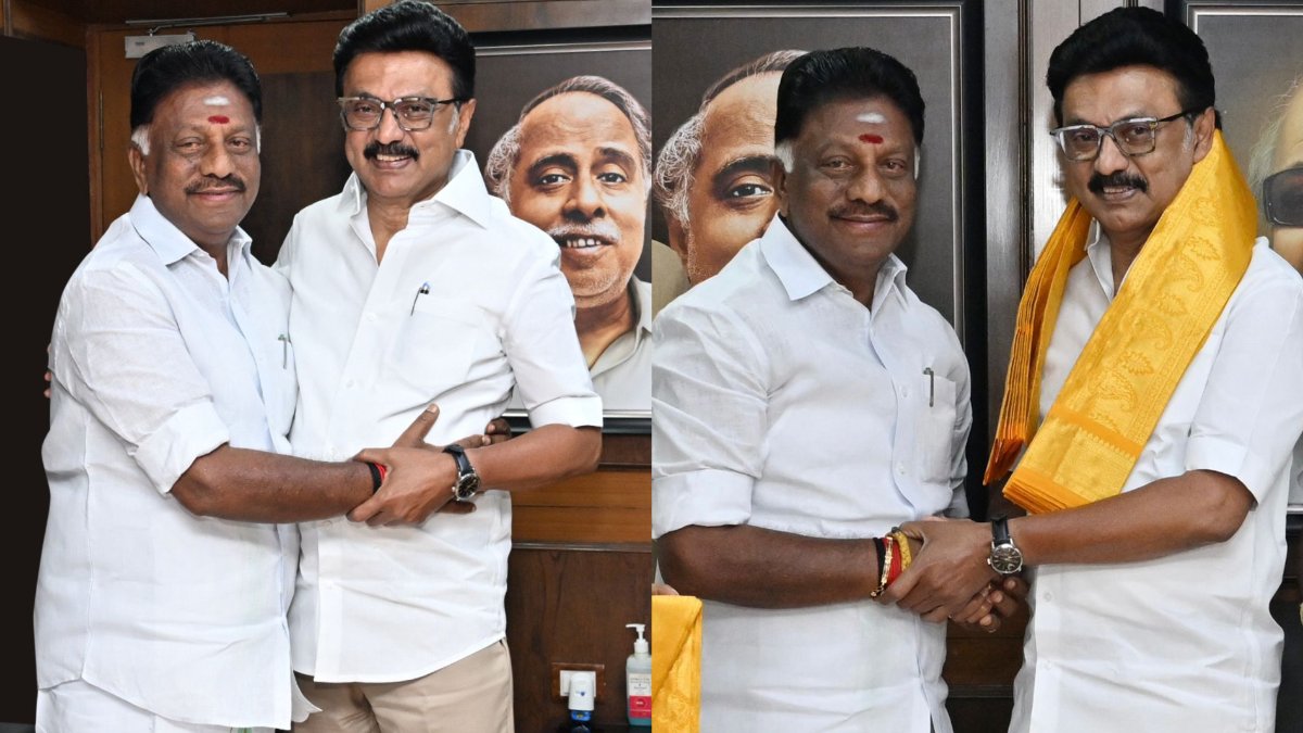 pneer 1772169862.jpeg