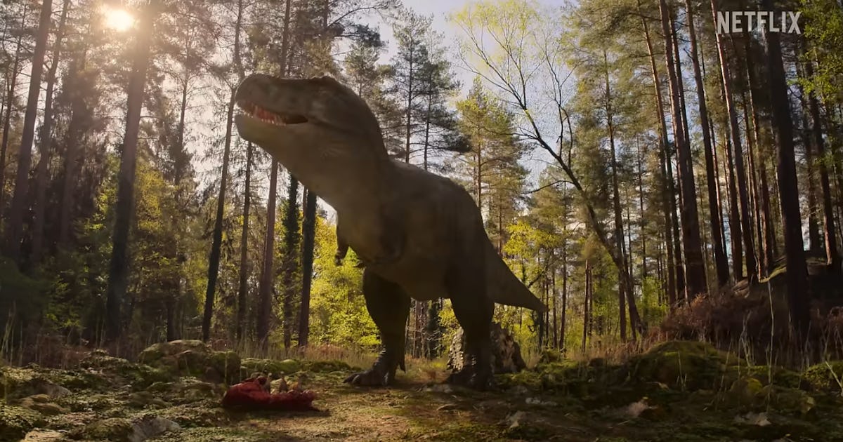 screenshot 2026 02 25.png