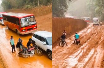 sirsi 1772156229.jpeg