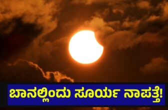 solareclipse011 1771302651.jpg