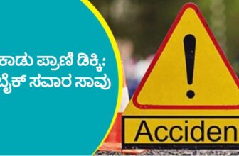 tragicaccidentinhosanagaradp 1771923671.jpg