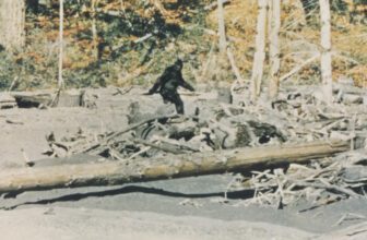 BIGFOOT 4K Credit Patterson Gimlin H 2026.jpg