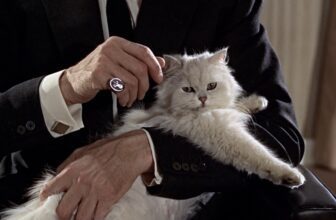 Last Movies film still.jpg