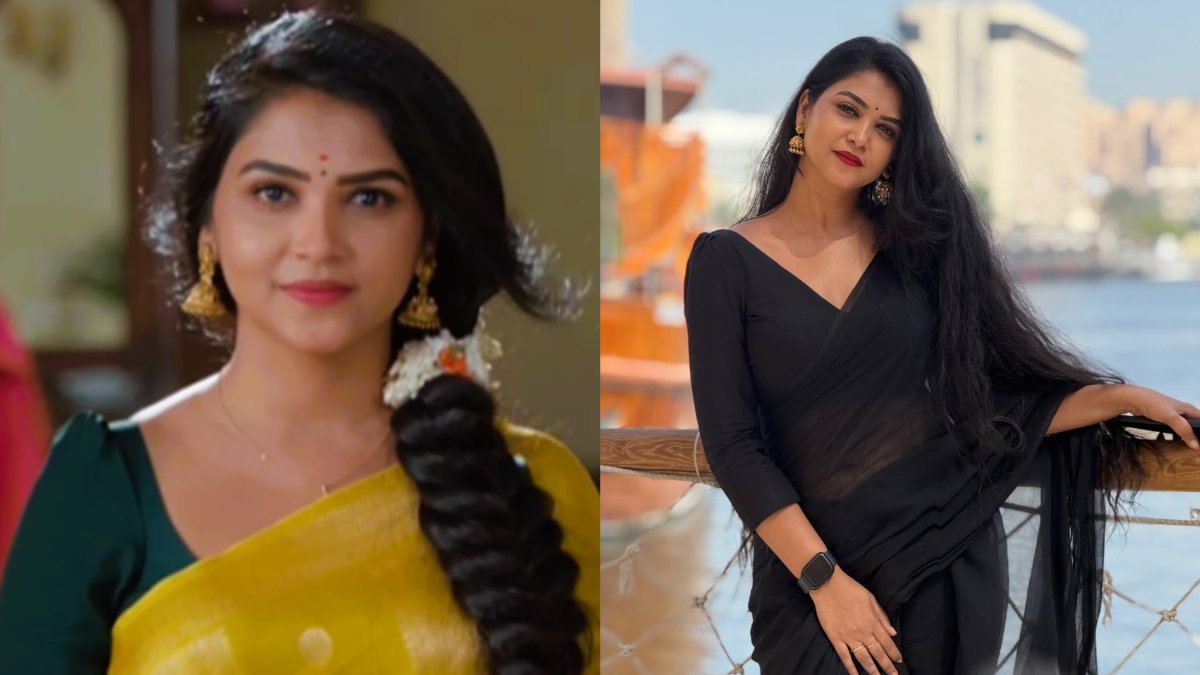 amdp 1774940685.jpeg