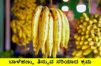 banana guide 1 1773921920.jpg