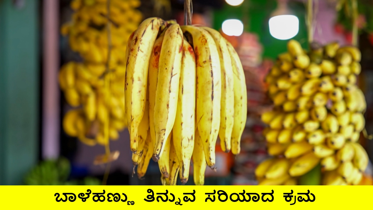 banana guide 1 1773921920.jpg