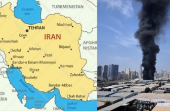 collage 1773123918.jpg