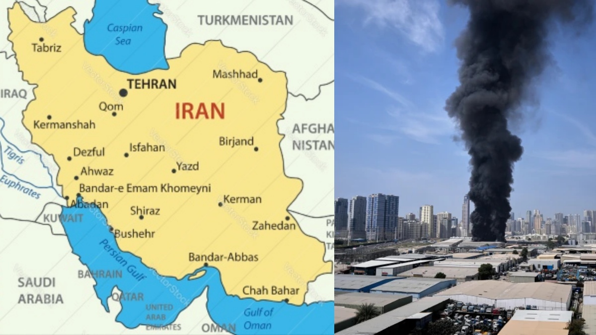 collage 1773123918.jpg