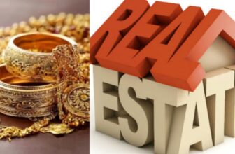 collage 1773451024.jpg