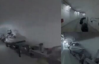 collage 1773457614.jpg