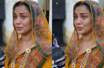 collage 1773468252.jpg