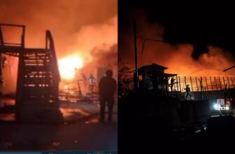 collage 1773717541.jpg