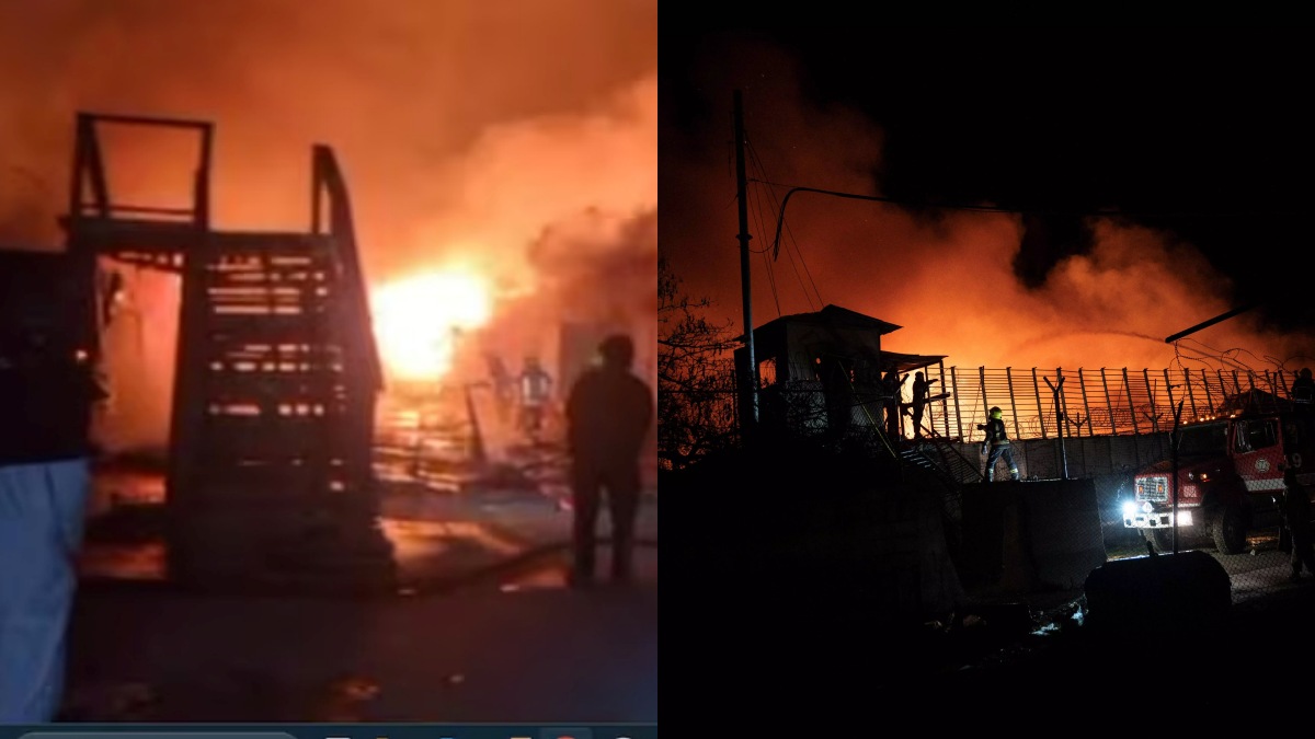 collage 1773717541.jpg