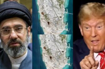 collage 1773722330.jpg