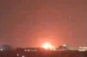 collage 1773891461.jpg