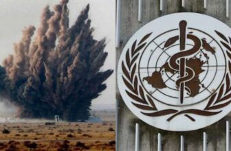 collage 1773893398.jpg