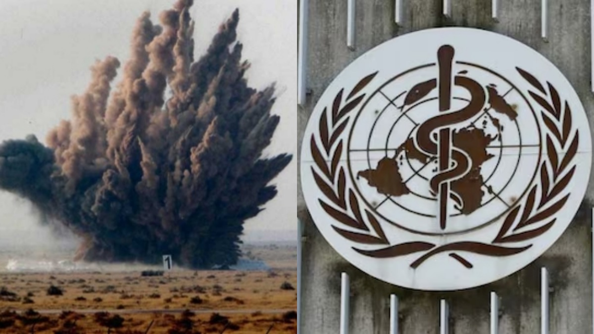 collage 1773893398.jpg