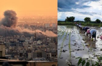 collage 1773969737.jpg