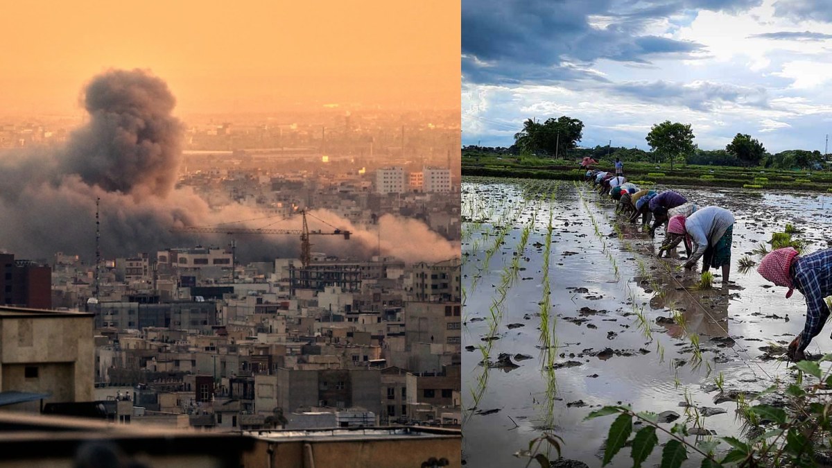 collage 1773969737.jpg