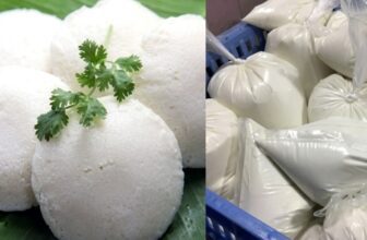 collage 1774409593.jpg