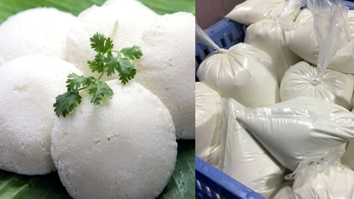 collage 1774409593.jpg