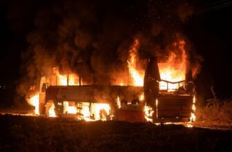 collage 1774491262.jpg