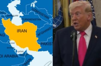 collage 1774510615.jpg