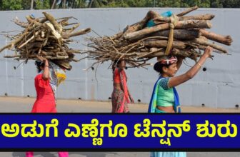 cookingoil01 1773424971.jpg