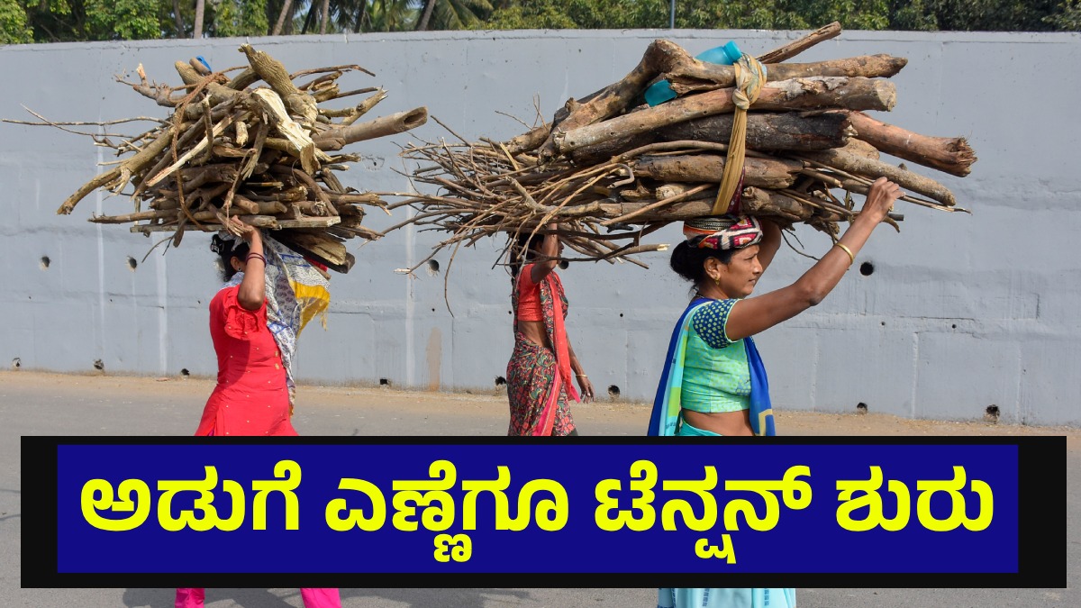 cookingoil01 1773424971.jpg