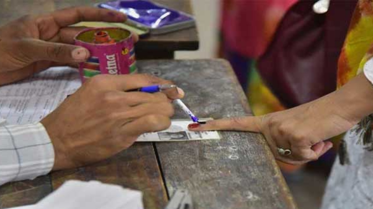 election dp 1773577256.jpg