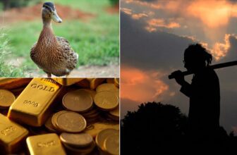 enhanced image 2026 03 12t154710 766 1773310857.jpg