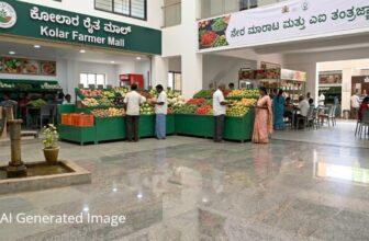 farmermallinkolardp 1772811661.jpg