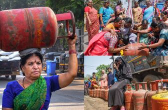 galeerydp 1773403492.jpeg