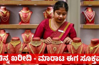 gold dp 1774436638.jpg