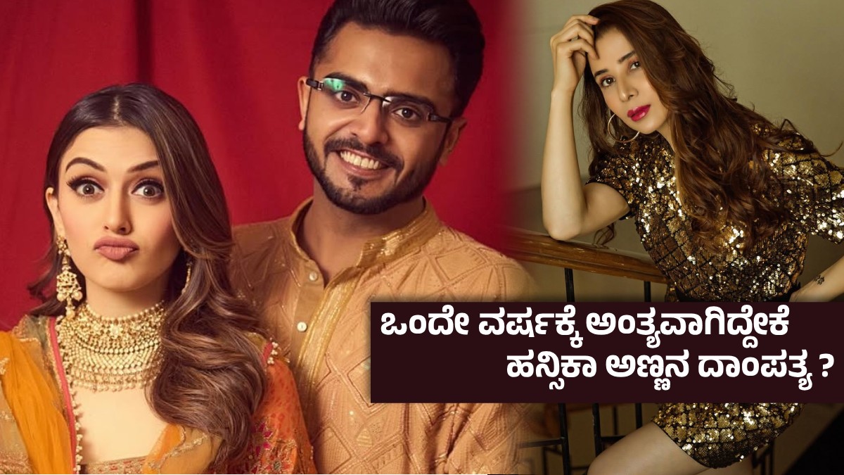 hansikamuskaan 1773390706.jpg