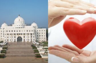 heartdp 1774636031.jpeg