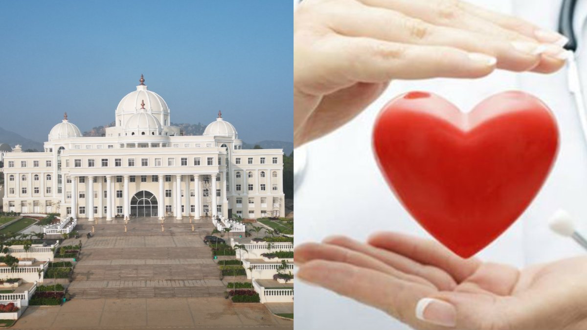 heartdp 1774636031.jpeg