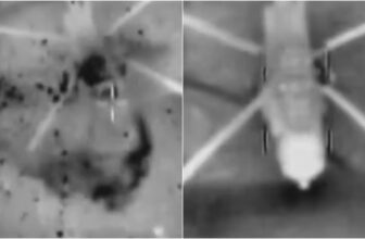 image1 2026 03 07t124831 620 1772867978.jpg