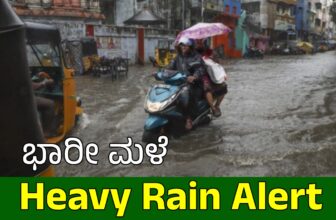 imdweatherforecastdp 1773911451.jpg