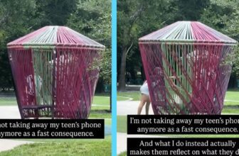 institutional lag 1.jpg