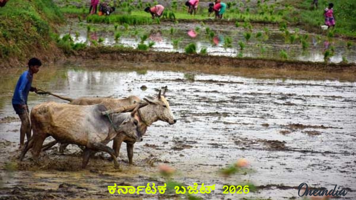 karnataka budget 2026 2 1772779447.jpg