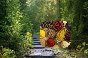 kerala spice world 2 1774520065.jpg