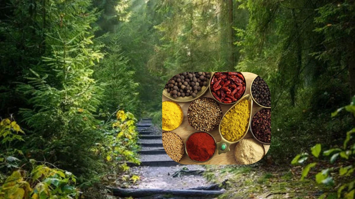 kerala spice world 2 1774520065.jpg