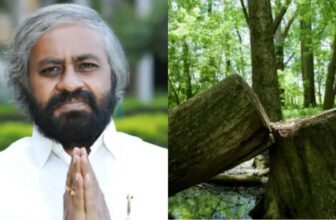 lpgshortagedp 1773456108.jpg