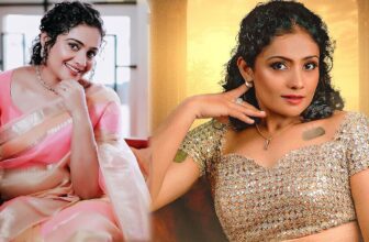 meeravasudevandivorcestory 1774339399.jpg