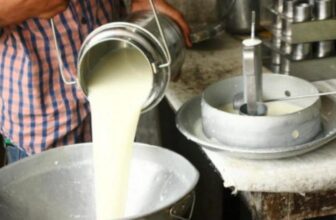 milkdp 1774176353.jpeg