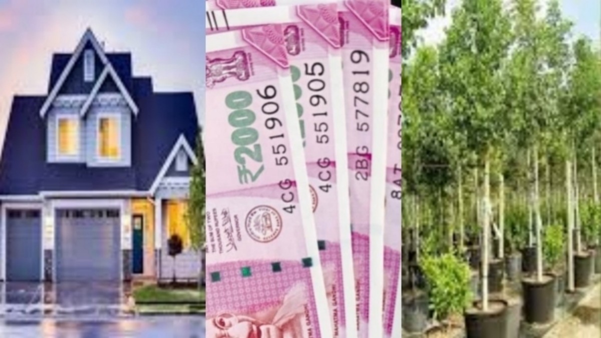 money tile 1774621306.jpg