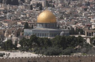 mosquw31 1774003319.jpg