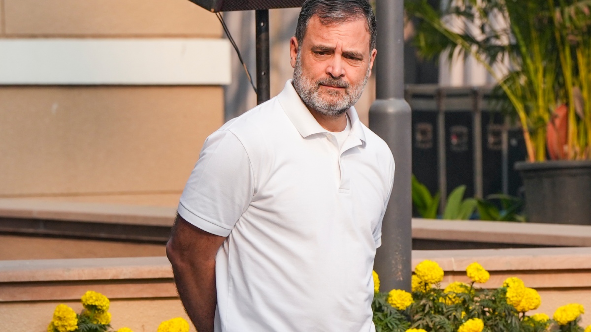 rahul2 1773823468.jpg