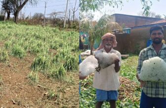 rainalertdharwadfarmerdp 1774503814.jpg